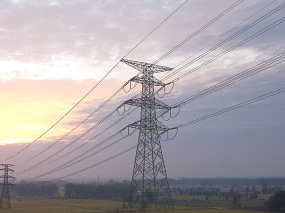 台鸣网站改版上线！